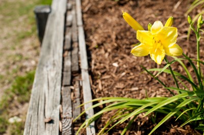 Kelloggs Flower Bed - Duck Landscaping