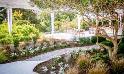 Outer Banks Wedding Event Landscaping