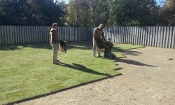 Outer Banks Sod Lawncare